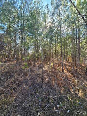23 TIMBERTOP Lane, Fosters, AL 35463