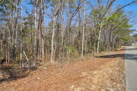 Brady Montgomery Road, Northport, AL 35475