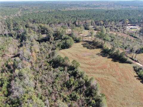 11111 County Road 191, Knoxville, AL 35469