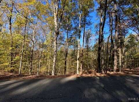 VICKI DRIVE, Mc Calla, AL 35111