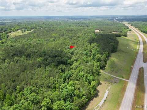 Highway 82, Centreville, AL 35042