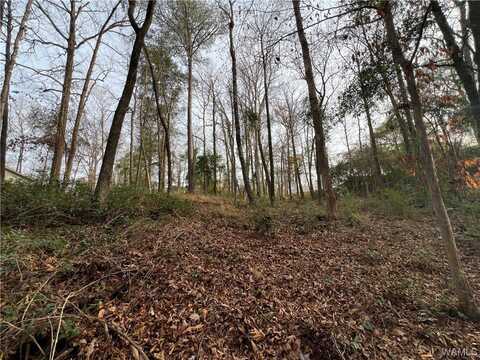 5421 Summerfield Dr E, Tuscaloosa, AL 35404