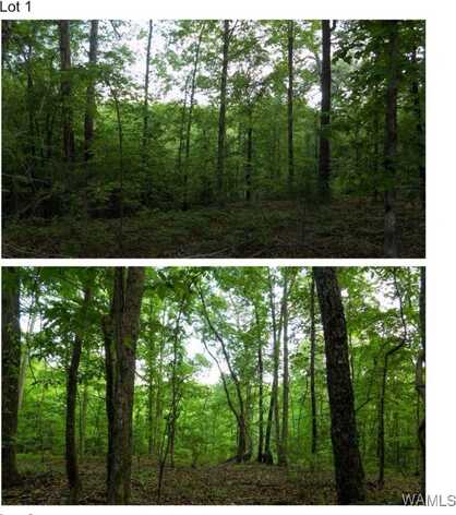 5890 Garner Road, Tuscaloosa, AL 35405