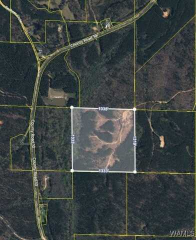 County Rd. 10, Millport, AL 35576
