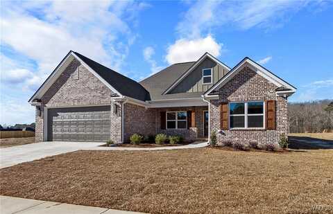 13990 Glen Park Ave, Northport, AL 35476