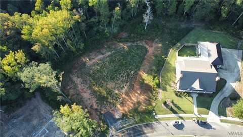 5313 Park Avenue, Tuscaloosa, AL 35406