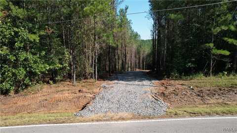 Keenes Mill rd, Cottondale, AL 35453