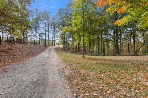 11021 Dale Earnhart Dr., Vance, AL 35490