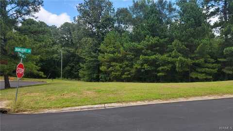 9881 Star Dust Drive, Tuscaloosa, AL 35405