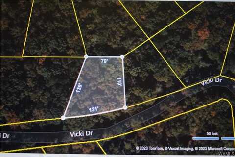 Vicki Drive, Lake View, AL 35111