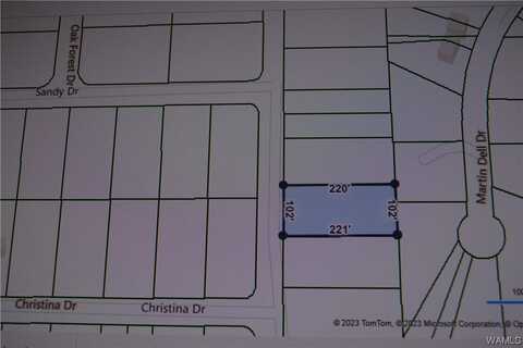 17 Cottonwood Drive, Lake View, AL 35111