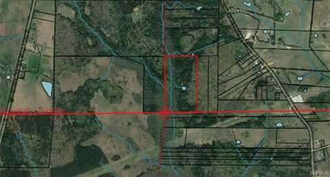 0002 County 1 Road, Uniontown, AL 36786