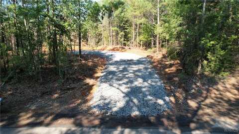 snider rd, Cottondale, AL 35453