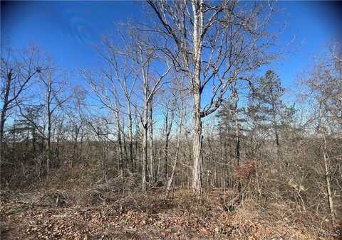 Dream View Terr, Mc Calla, AL 35111