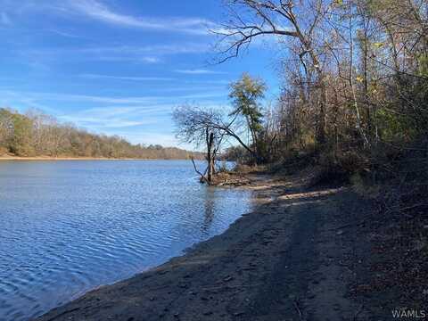 Glass House Road, Fosters, AL 35463