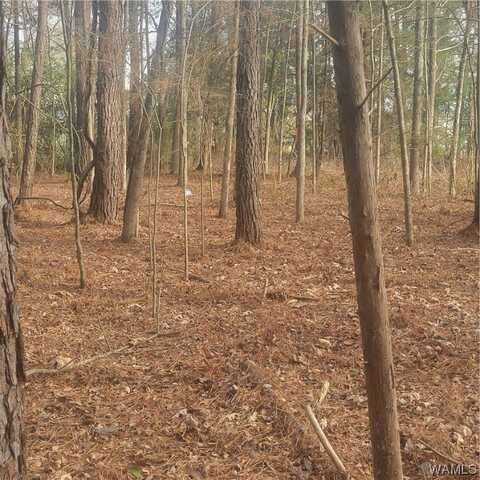 569 Gore Road, Pickensville, AL 35447