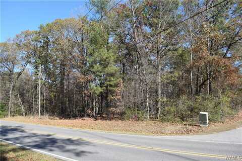 9th Street NW CR 95, Alabaster, AL 35007