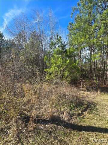 18 Timbertop Lane, Fosters, AL 35463
