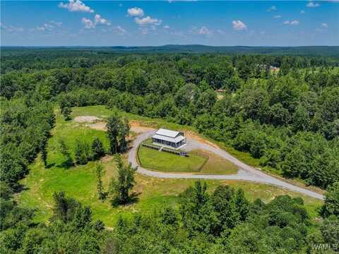 3741 County Rd 67, Bankston, AL 35542