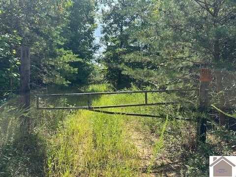 0 Donahue Road, Princeton, KY 42445