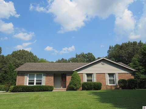 240 Lansing Ave, Paducah, KY 42003