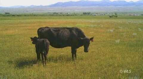 TBD County Road 119, Westcliffe, CO 81252