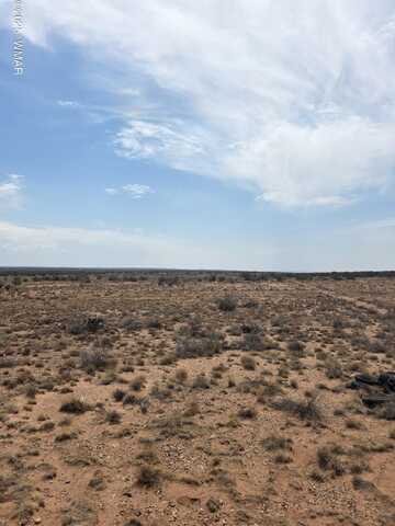8317 Buckskin Trail, Snowflake, AZ 85937