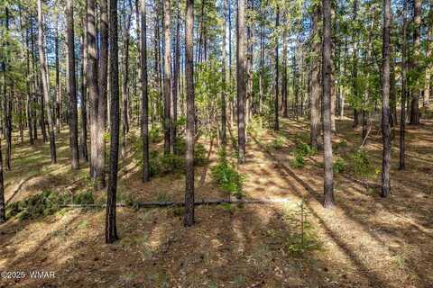 15 Co Rd 2083, Alpine, AZ 85920
