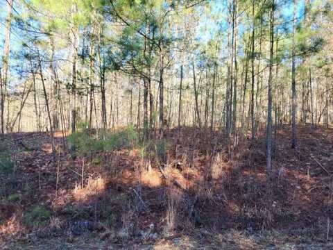 PINE RIDGE Way lot: E-25, Salem, SC 29676