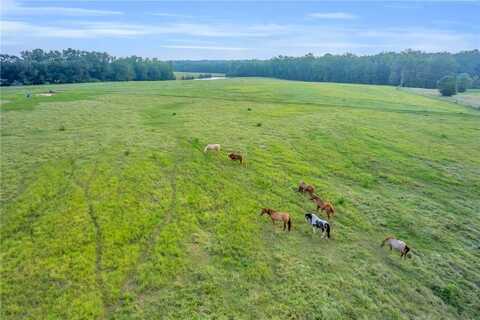 Docheno Road, Belton, SC 29627