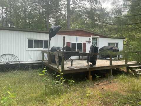 16928 Wildlife Trail, Wolverine, MI 49799