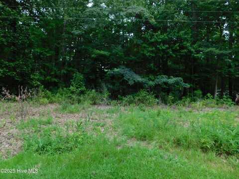93 Tranquility Lane, Hertford, NC 27944