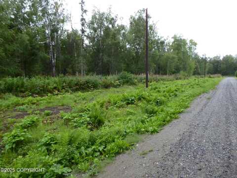 11000 E Jewel Hillstrom Road, Trapper Creek, AK 99683