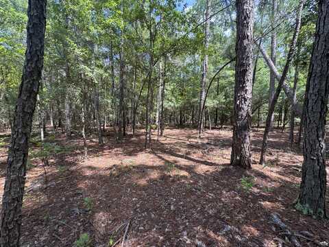 5b Tinker Creek Road, Williston, SC 29853