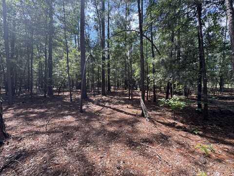 5a Tinker Creek Road, Williston, SC 29853