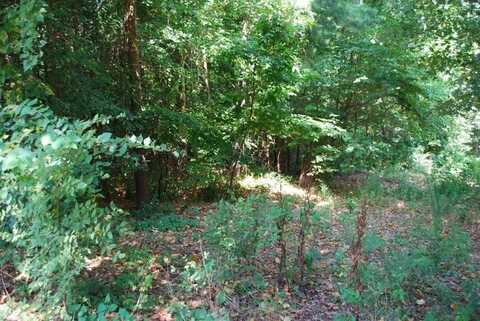 Lot 5 Neffwood LN, Bella Vista, AR 72715