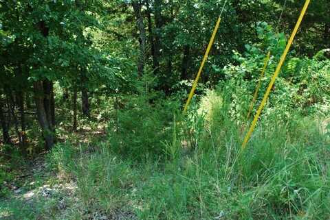 Lot 6 Scalloway DR, Bella Vista, AR 72715