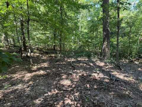 Lot 16 Horden LN, Bella Vista, AR 72714