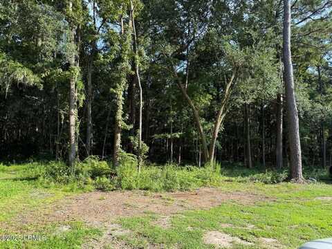 23 Joe Frazier Road, Burton, SC 29906