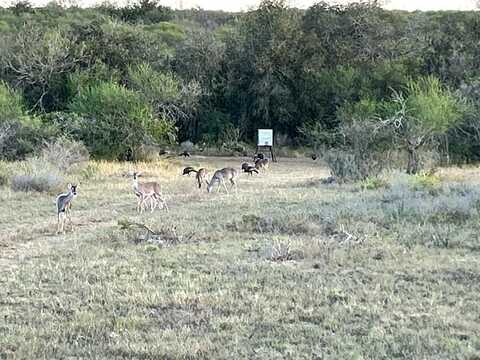 4582 Rockhill Rd., Kenedy, TX 78119
