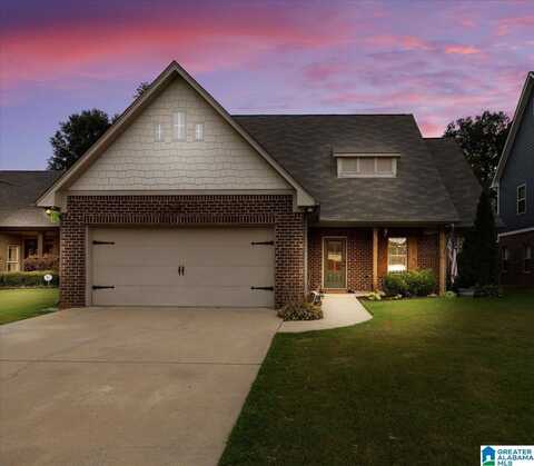 100 BRAXTON PLACE, SPRINGVILLE, AL 35146