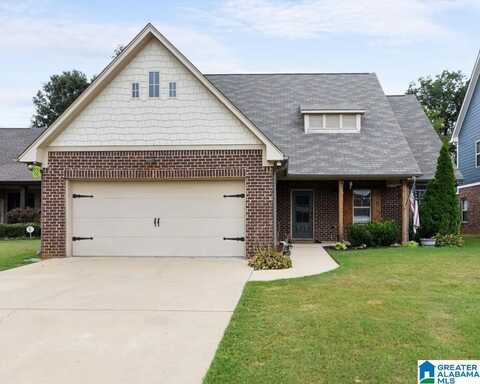 100 BRAXTON PLACE, SPRINGVILLE, AL 35146