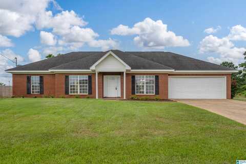 10336 SUNLIGHT DRIVE, TUSCALOOSA, AL 35405