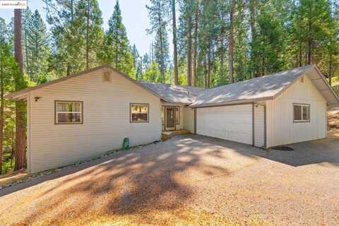 20055 Pine Mountain Drive, Groveland, CA 95321