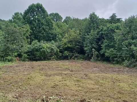 4821 Goddard Rd., Wallingford, KY 41093