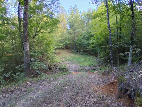 123 Highway, Hagarville, AR 72839