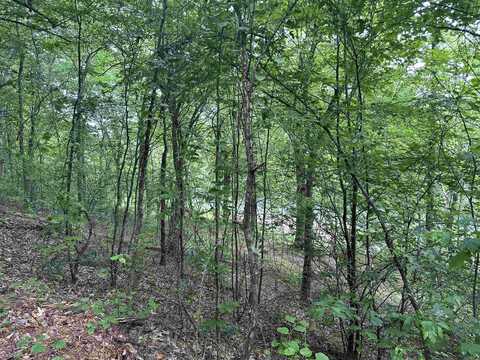 123 Highway, Hagarville, AR 72839