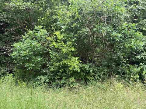 Lot 41 Seminole Second, Cherokee Village, AR 72529