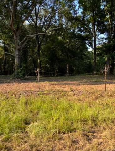 Tract C 1-2 MORNINGSTAR CIRCLE Circle, Benton, AR 72015