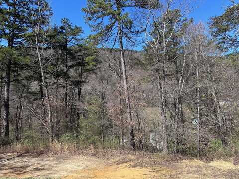 0 Hallett Street, Soddy Daisy, TN 37379